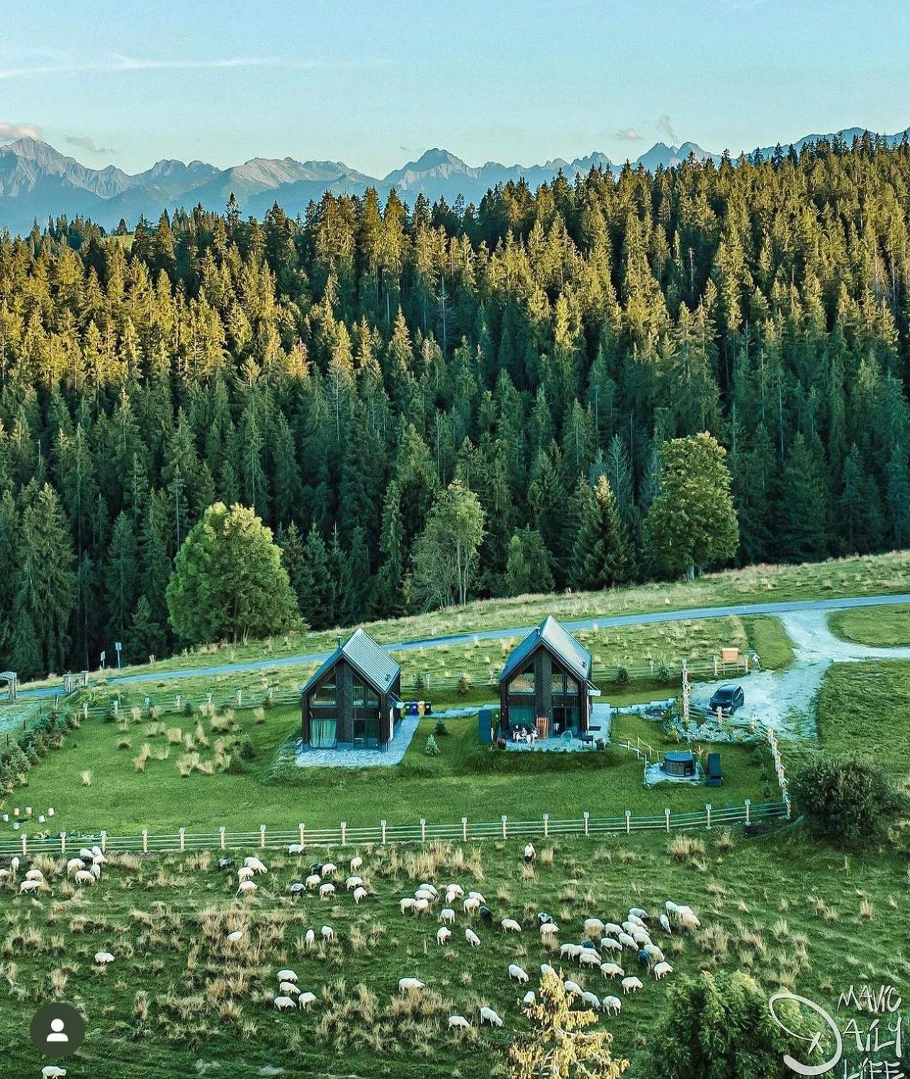Villa Owczarnia Tatry Bukowina Tatrzańska Exterior foto