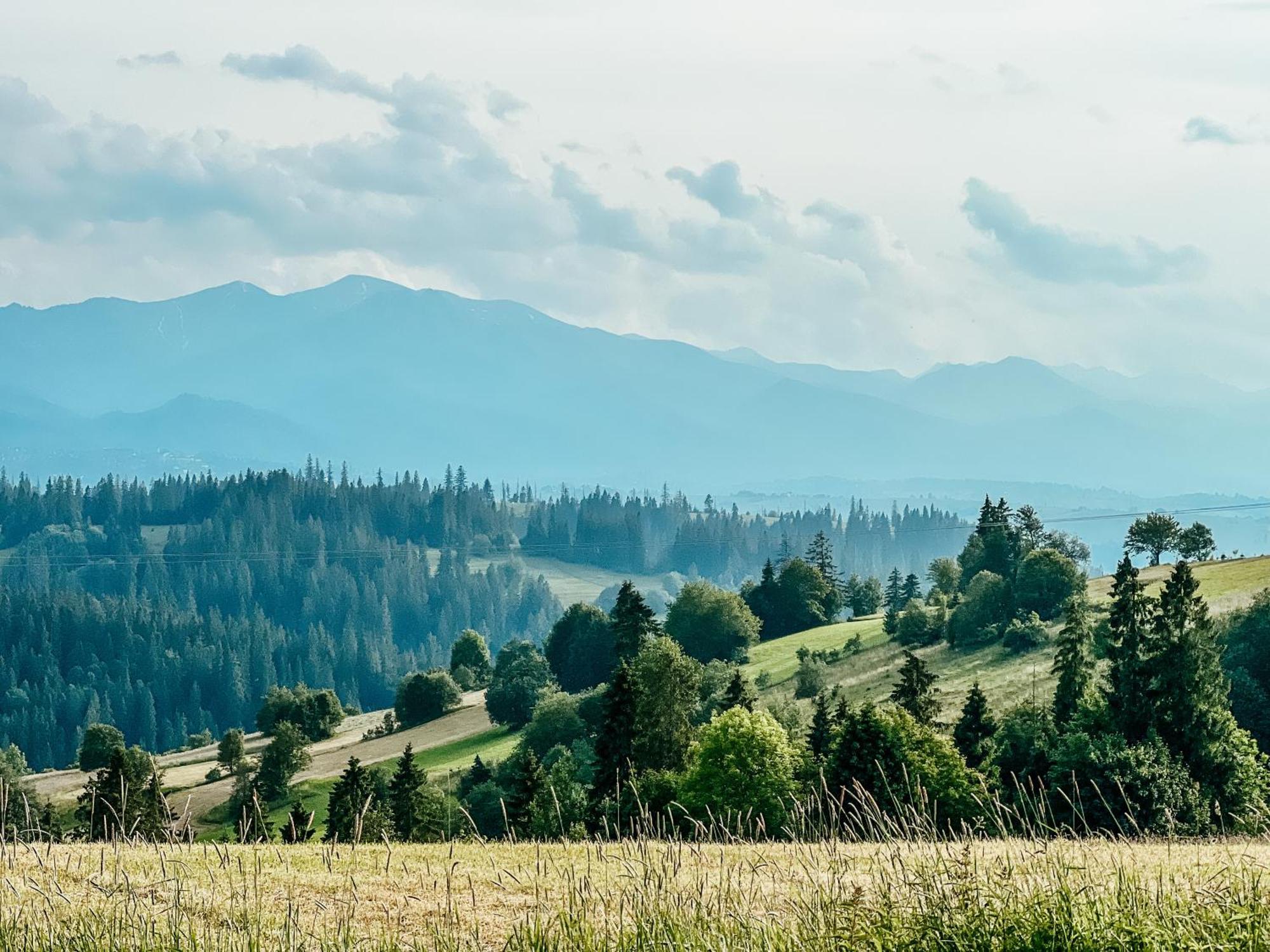 Villa Owczarnia Tatry Bukowina Tatrzańska Exterior foto
